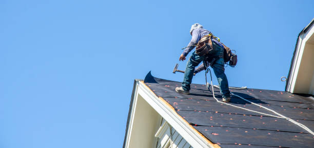 Best Gutter Installation and Roofing  in Claypool Hill, VA